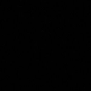 Meet your Posher, Owen